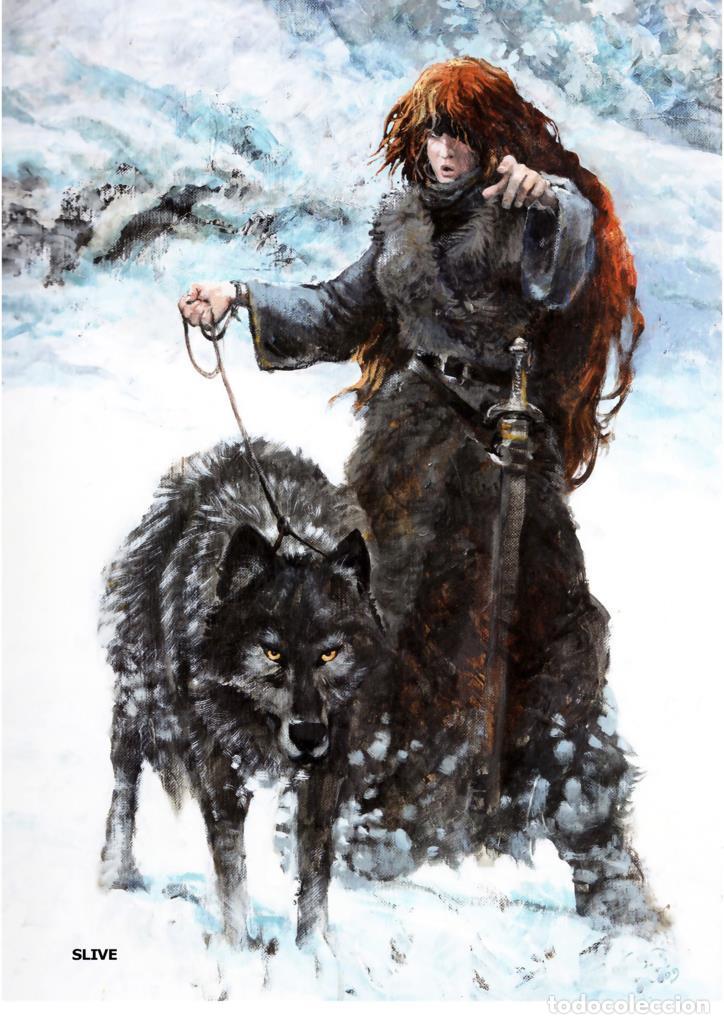 Cin&eacute;ma: Poster DIN 4 numero 0393: Thorgal: Slive
