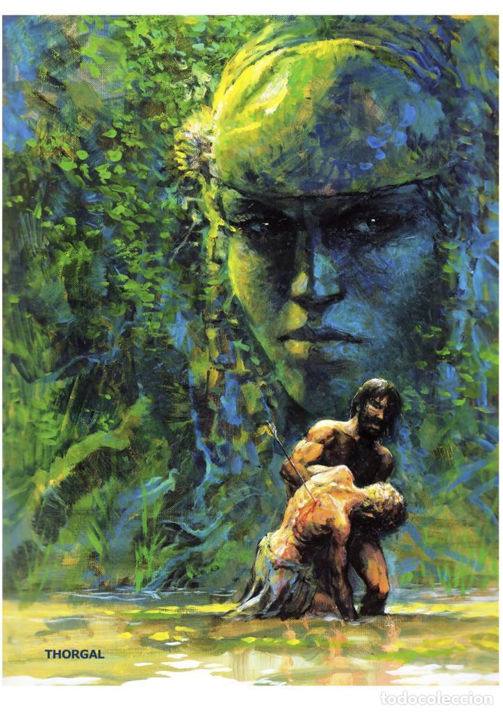 Cin&eacute;ma: Poster DIN 4 numero 0413: Thorgal