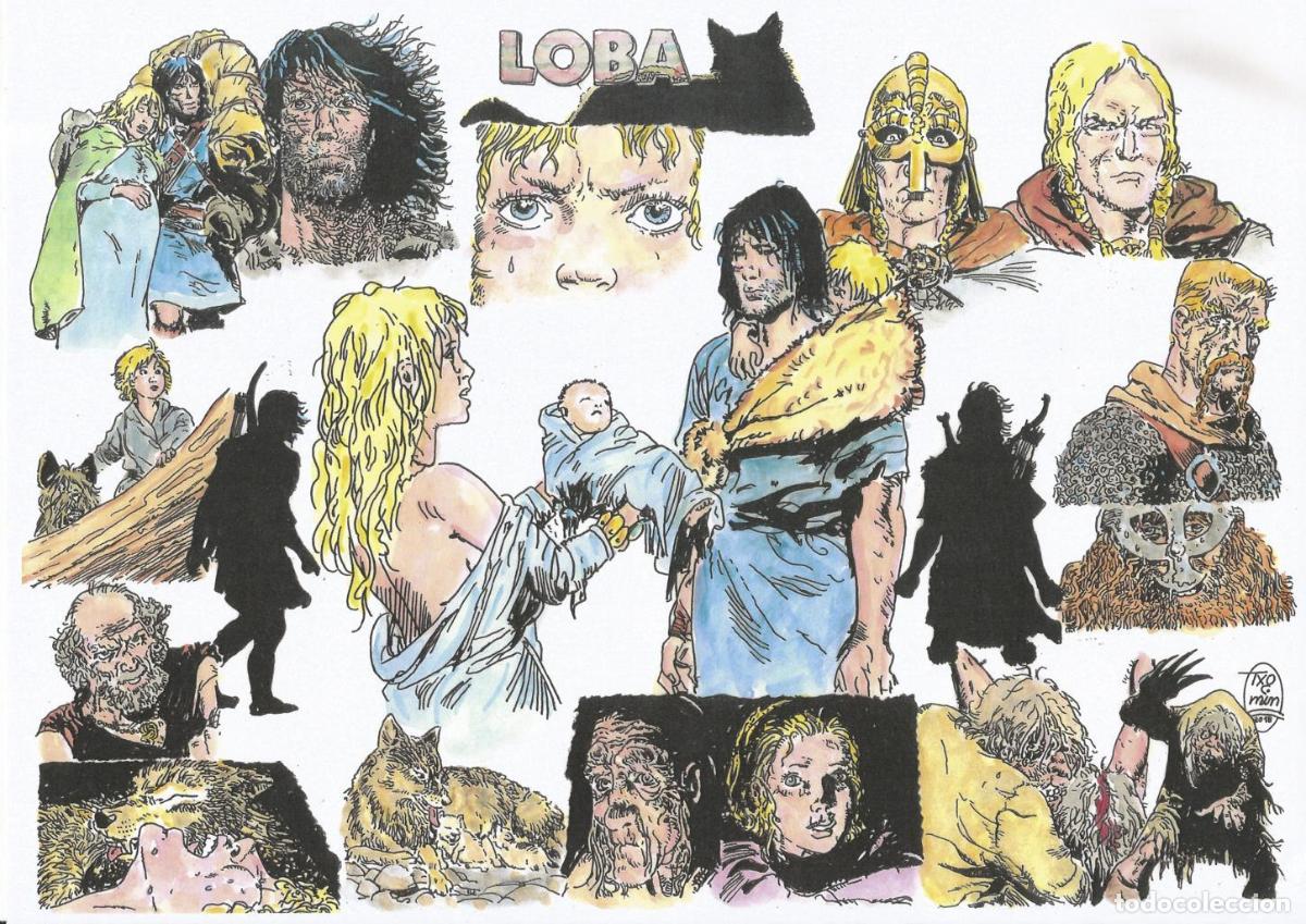 Cin&eacute;ma: Poster DIN 4 numero 0433: Thorgal: Loba