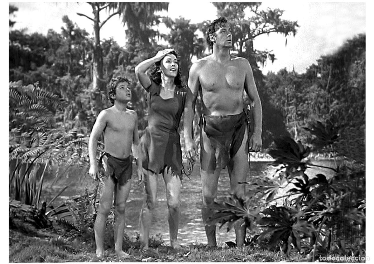 Cinema: Poster DIN 4 numero 0793: Tarzan (Johnny Weissm&uuml;ller) modelo 19