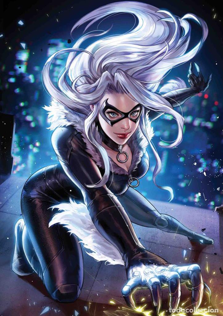 Cine: Poster DIN 4 numero 0823: serie Marvel: La gata negra