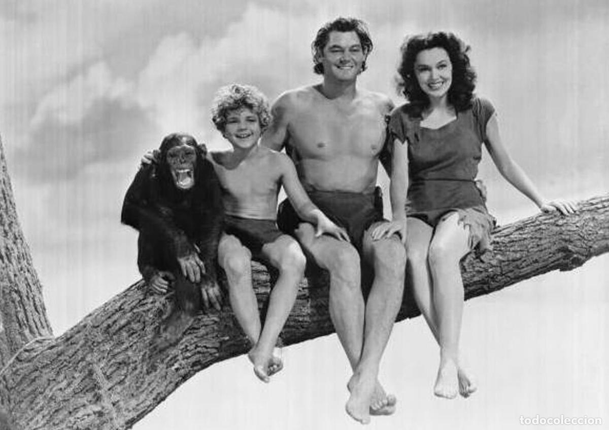 Cin&eacute;ma: Poster DIN 4 numero 0950: Tarzan (Johnny Weissm&uuml;ller) modelo 22
