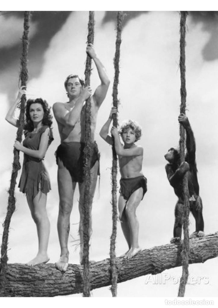 Cin&eacute;ma: Poster DIN 4 numero 0985: Tarzan (Johnny Weissm&uuml;ller) modelo 37