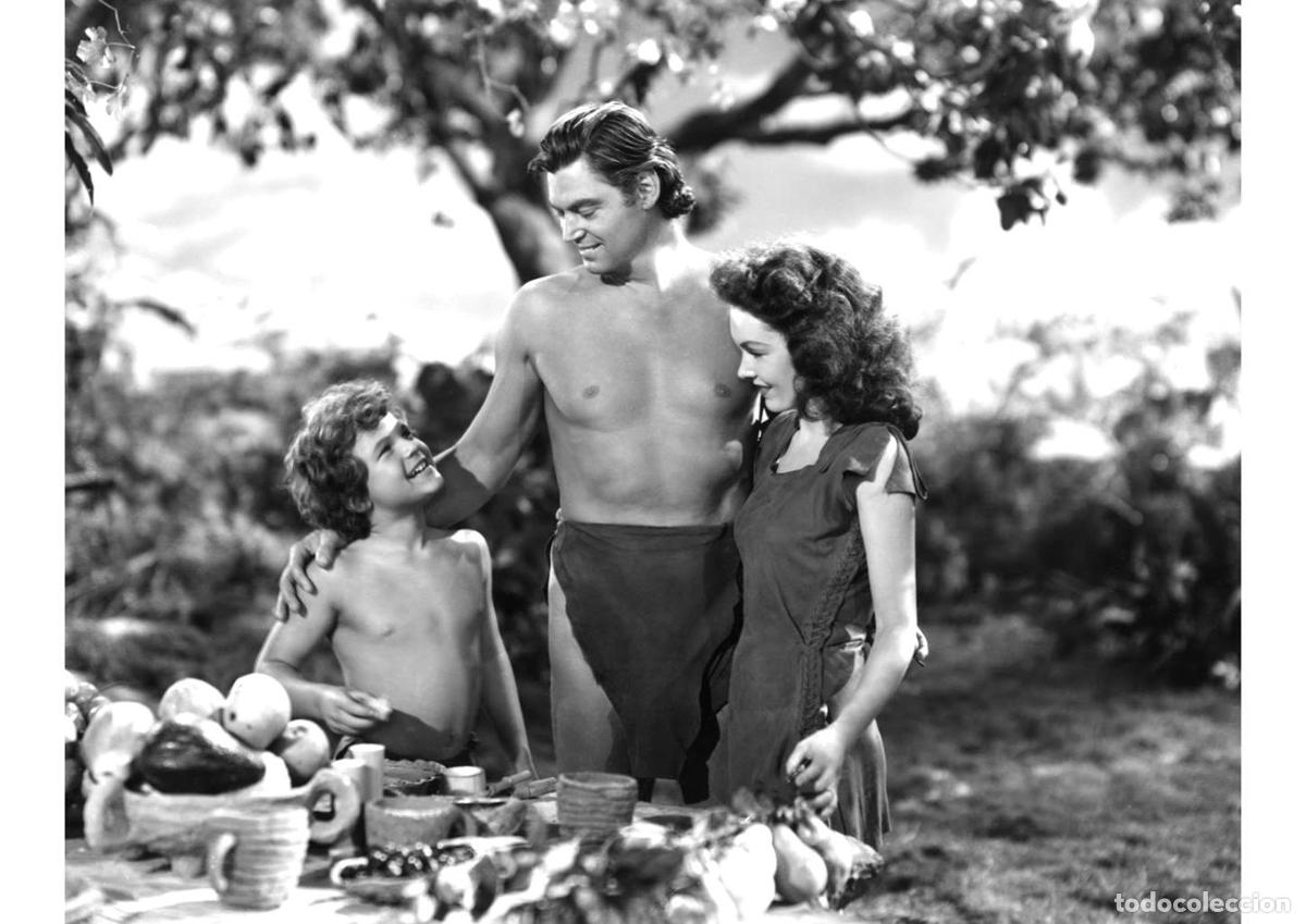 Cin&eacute;ma: Poster DIN 4 numero 0990: Tarzan (Johnny Weissm&uuml;ller) modelo 42