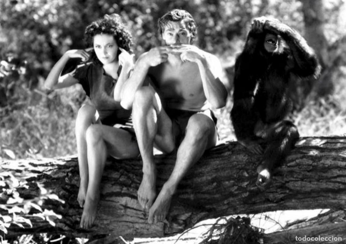 Cin&eacute;ma: Poster DIN 4 numero 0951: Tarzan (Johnny Weissm&uuml;ller) modelo 23