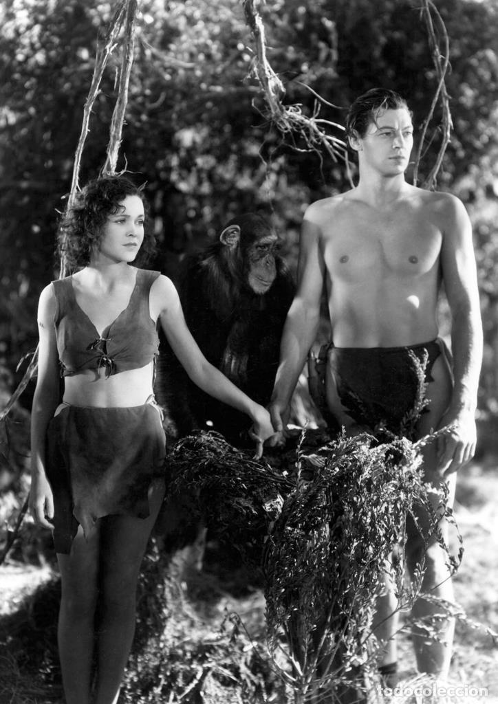 Cin&eacute;ma: Poster DIN 4 numero 0956: Tarzan (Johnny Weissm&uuml;ller) modelo 28
