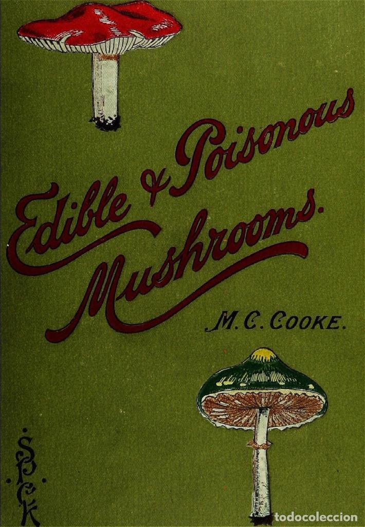 Cinema: Poster DIN 4 numero 1312: Edible and poisonous mushrooms:. London,E. & J. B. Young,1894.