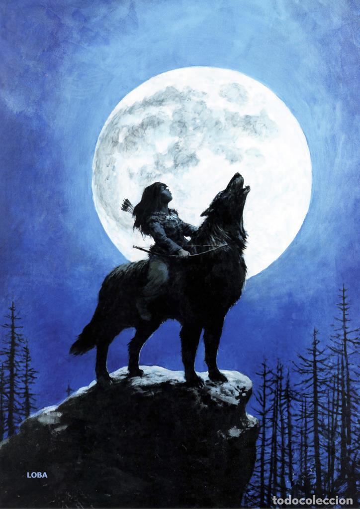 Cinema: Poster DIN 4 numero 0381: Thorgal: Loba
