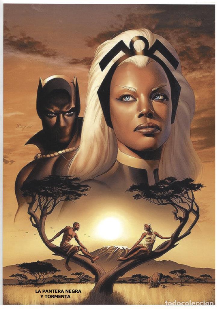 Cinema: Poster DIN 4 numero 0351: Tormenta y Pantera Negra