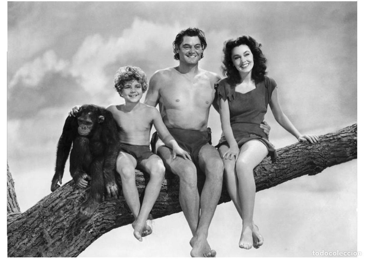 Cinema: Poster DIN 4 numero 0776: Tarzan (Johnny Weissm&uuml;ller) modelo 03