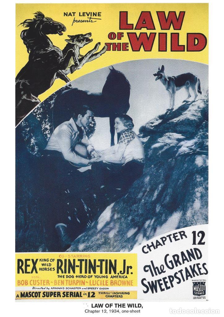 Kino: Poster DIN 4 numero 1154: Law of The Wild (Rin Tin Tin Jr): The Grand Sweepstakes: chapter 12, 1934