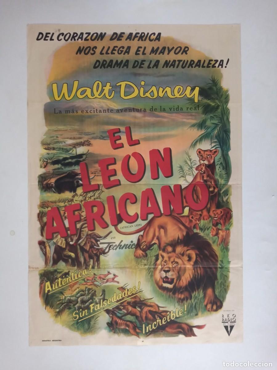Cine: EL LEON AFRICANO (1955) cartel 75X110 litografico WALT DISNEY Animales Naturaleza &Aacute;frica Documental