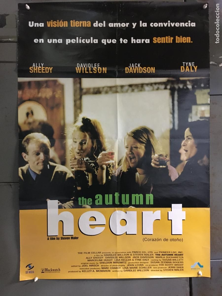 Cine: AFB41 CORAZON DE OTO&Ntilde;O ALLY SHEEDY DAVIDLEE WILSON POSTER ORIGINAL 70X100 ESTRENO h0