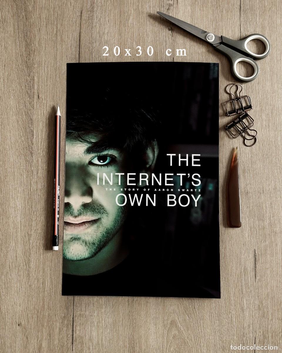 Cine: The Internet_s Own Boy The Story of Aaron Swartz (2014) - Reproducci&oacute;n P&oacute;ster 20x30