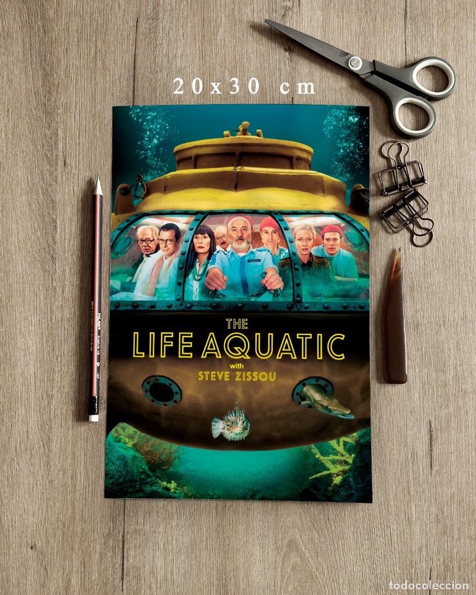 Cine: The Life Aquatic with Steve Zissou (2004) - Reproducci&oacute;n P&oacute;ster 20x30