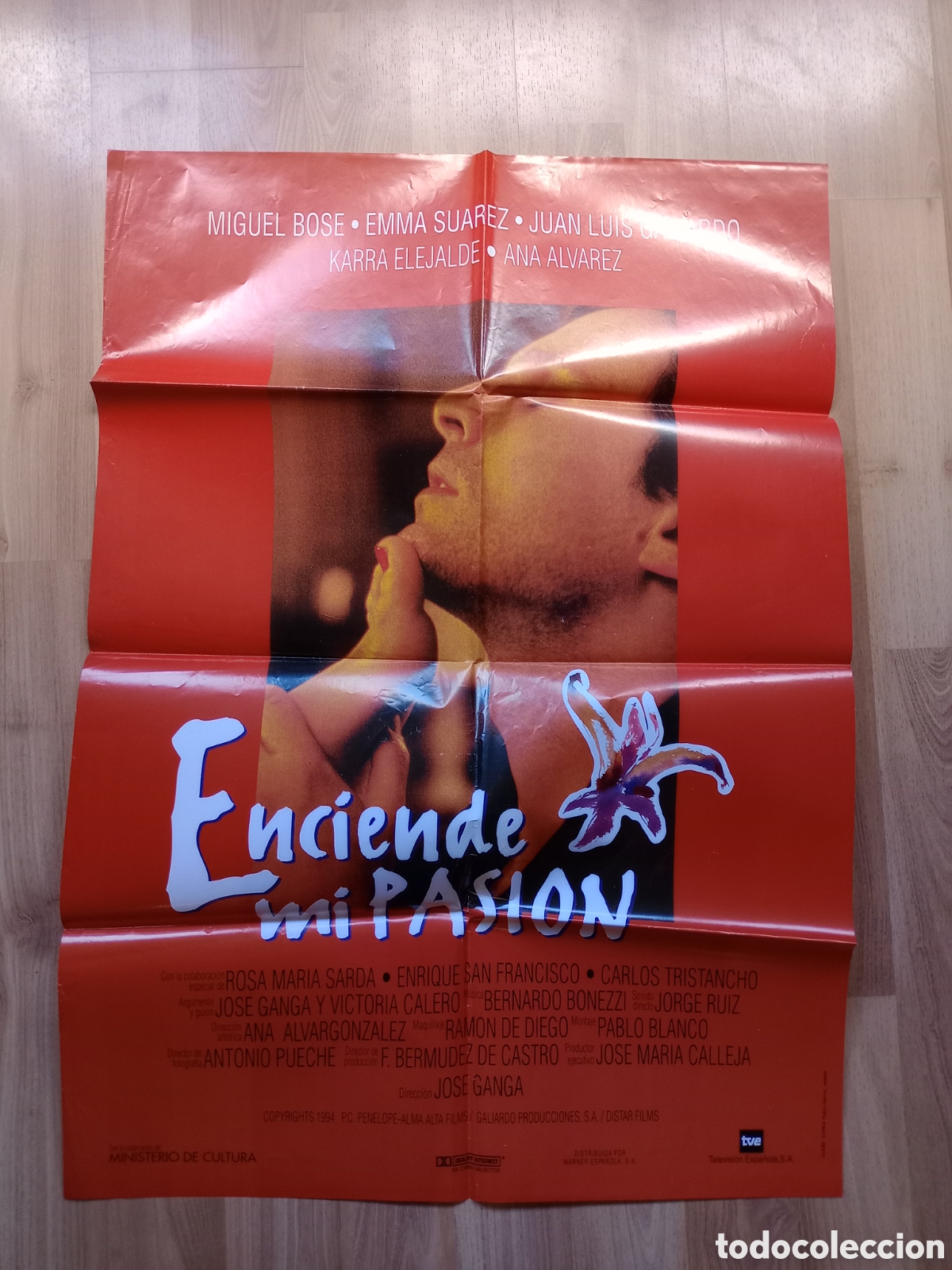 Cine: ENCIENDE MI PASION - CARTEL ORIGINAL CINE - 100 X 70 cms - EMMA SUAREZ, MIGUEL BOSE