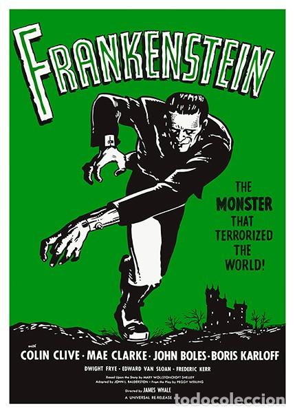 Cinema: Frankenstein P&oacute;ster 70x100 cm aprox. James Whale Boris Karloff