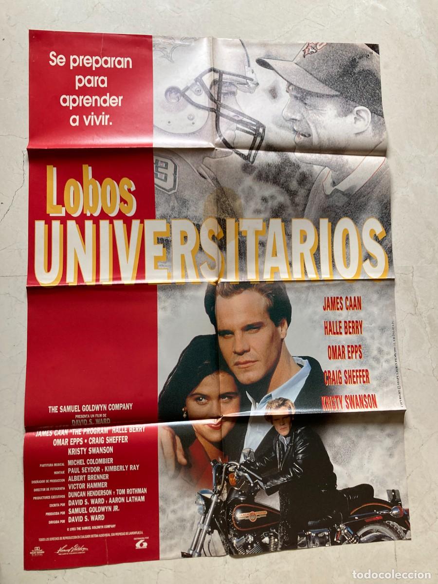 Cine: Cartel cine original LOBOS UNIVERSITARIOS (1993) 70x100 / James Caan - Craig Sheffer - Halle Berry