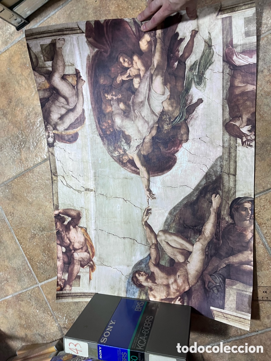 Cine: P&oacute;ster la creaci&oacute;n de Ad&aacute;n de Miguel Angel sobre papel de 100 gramos 49x79 cm