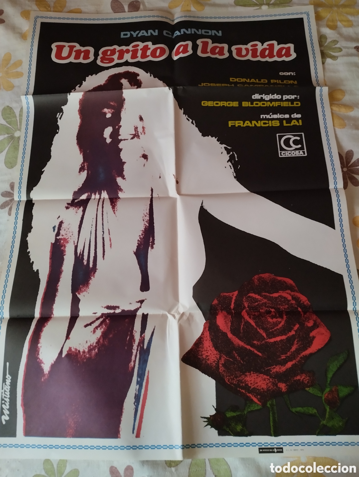 Cine: CARTEL POSTER 100 X 70 - UN GRITO A LA VIDA
