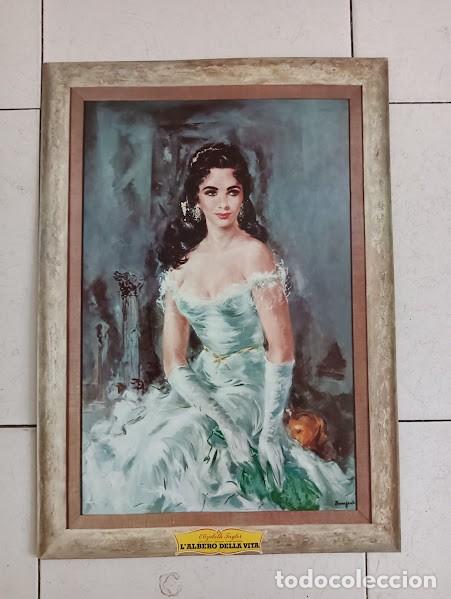 Cine: PJE 0594 EL ARBOL DE LA VIDA ELIZABETH TAYLOR raro DISPLAY BASSFORD POSTER ORIG ITALIANO 34X48