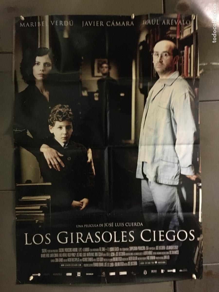 Cine: AFE91 LOS GIRASOLES CIEGOS JOSE LUIS CUERDA MARIBEL VERDU POSTER ORIGINAL 70X100 ESTRENO