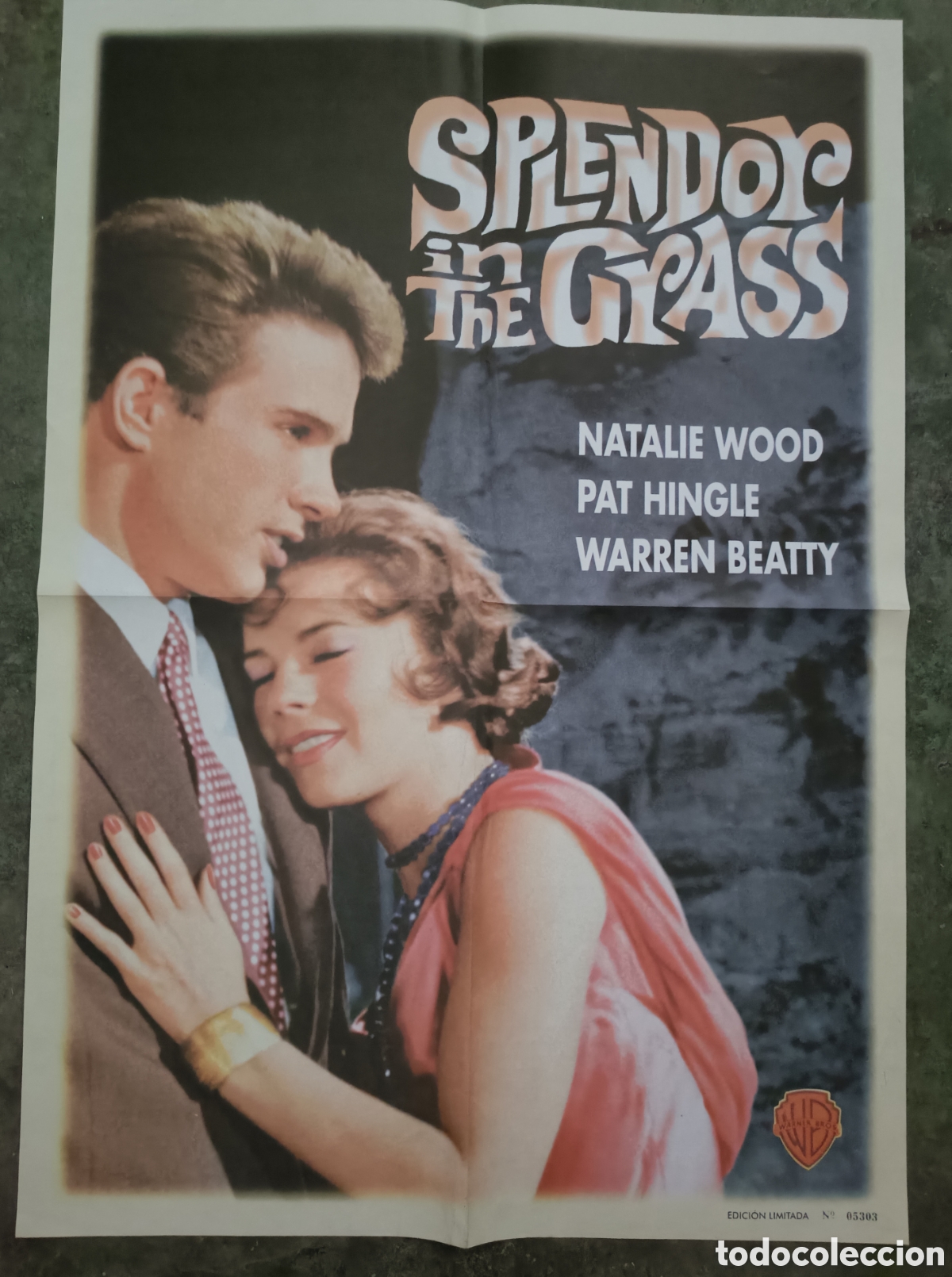 Cine: Cartel de cine. Esplendor en la hierba. Natalie Wood