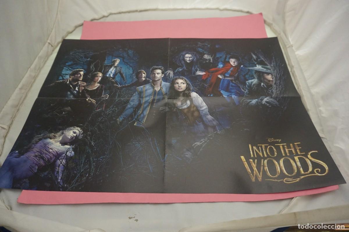 Cine: C10 - DOBLE POSTER DE CINE DE 57 X 41 CM. - INTO THE WOODS /