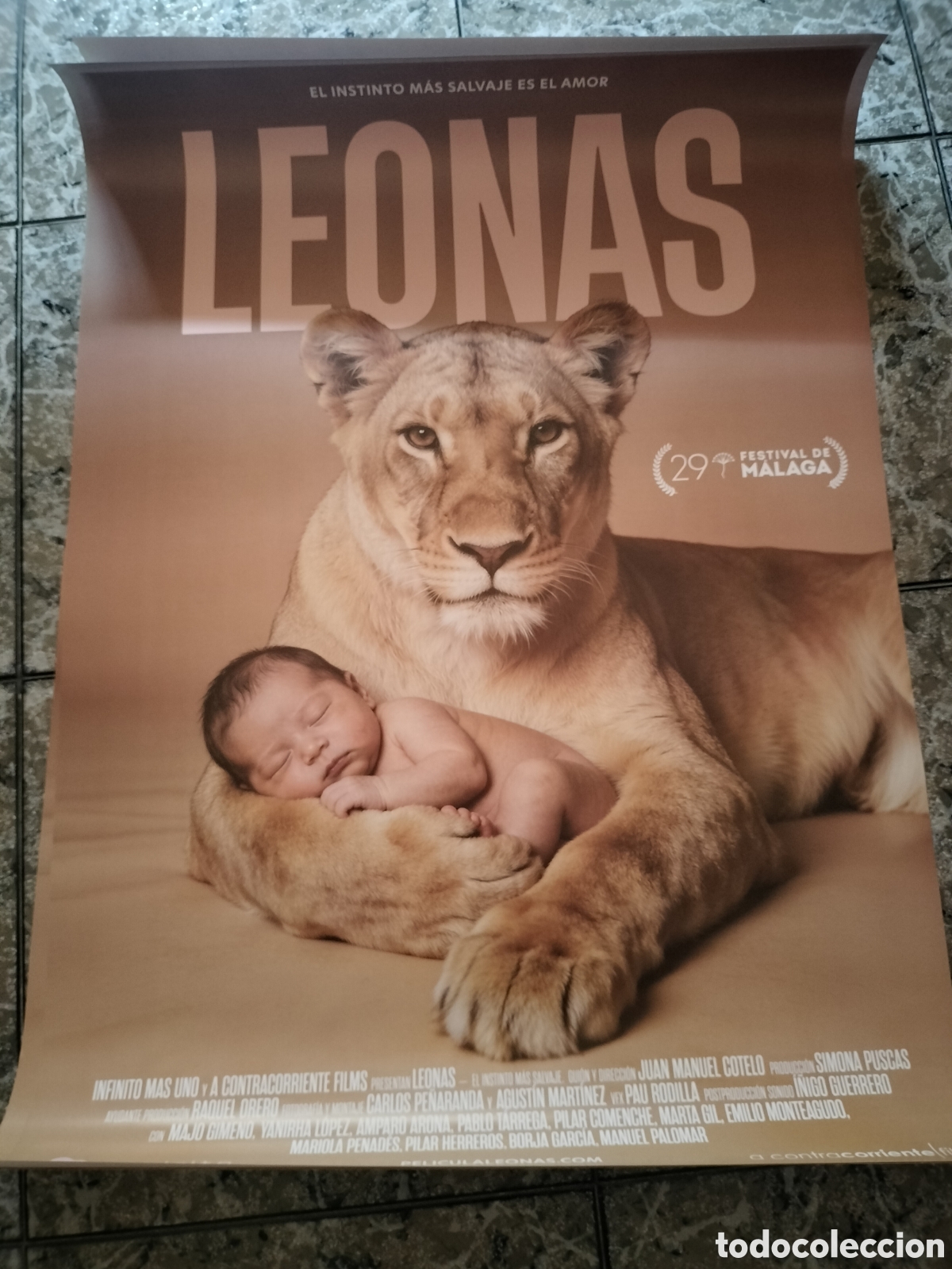Cine: Poster Original Leonas 100x70 - Foto 1