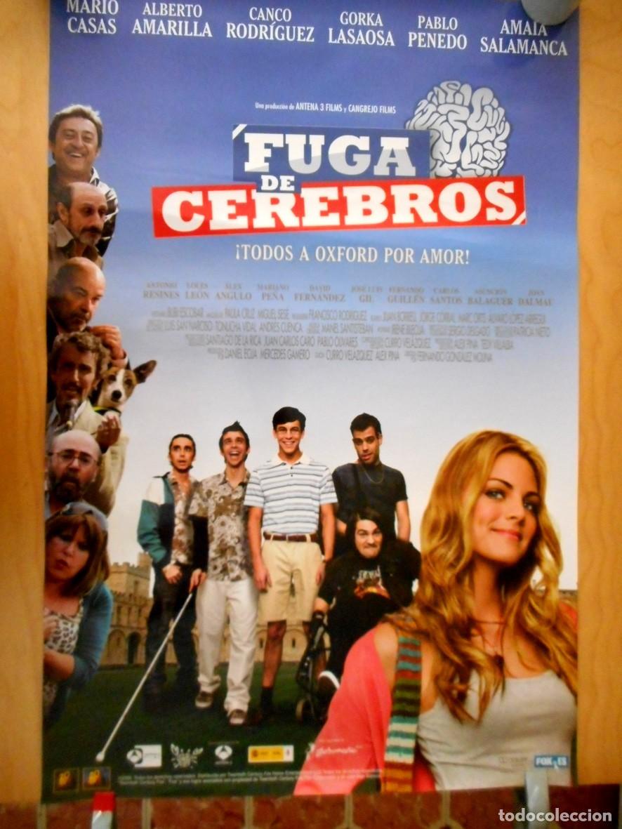 Cine: P&Oacute;STER FUGA DE CEREBROS (FOX 2009) 68 X 44,5 CM