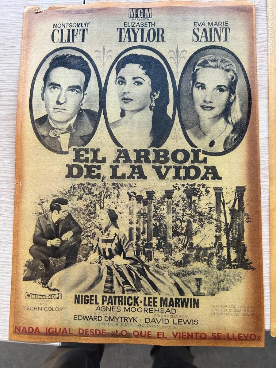 Cine: EL ARBOL DE LA VIDA POSTER 42X30 COMO SE APRECIA