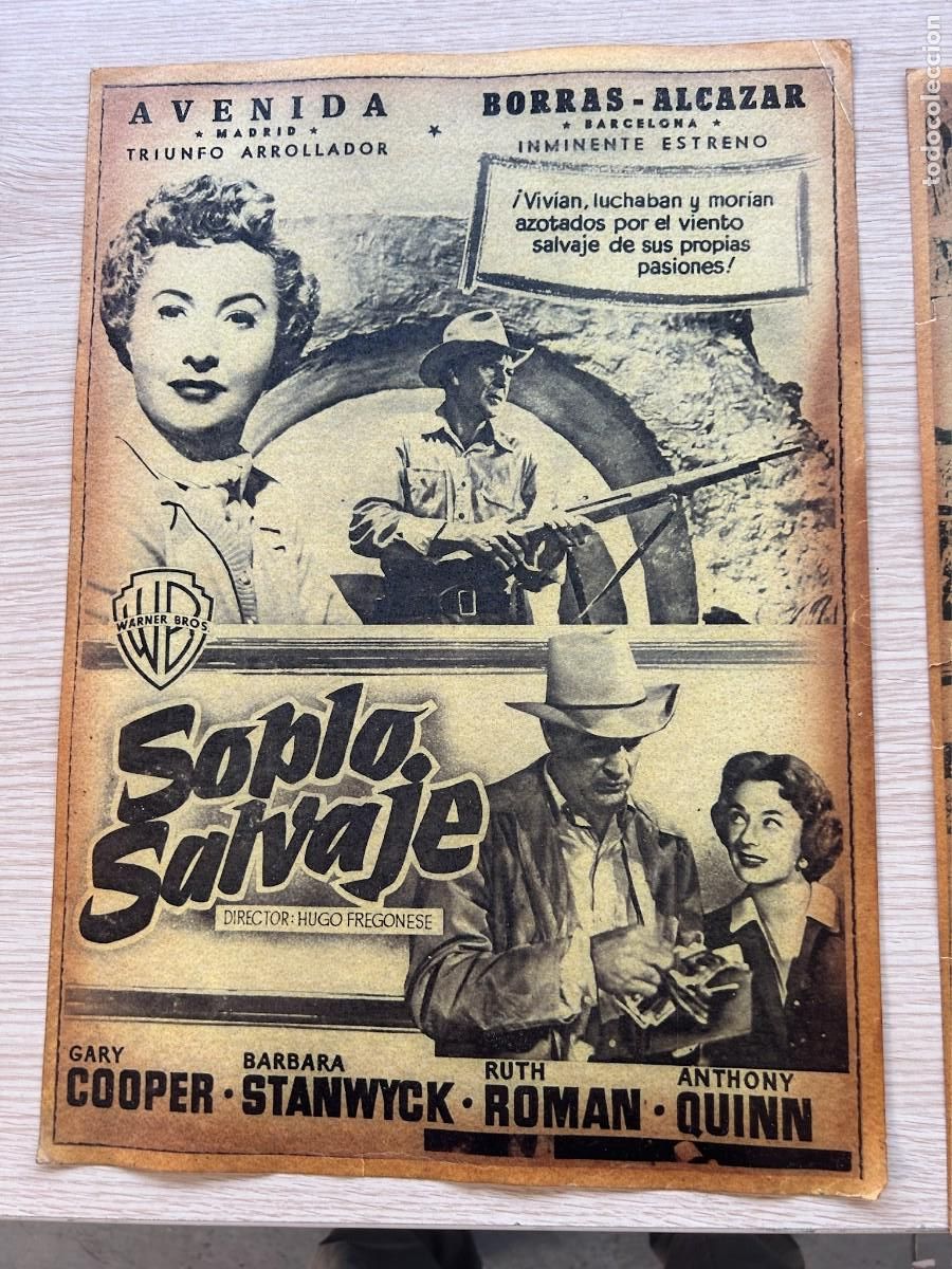 Cine: SOPLO SALVAJE POSTER 42X30 COMO SE VE