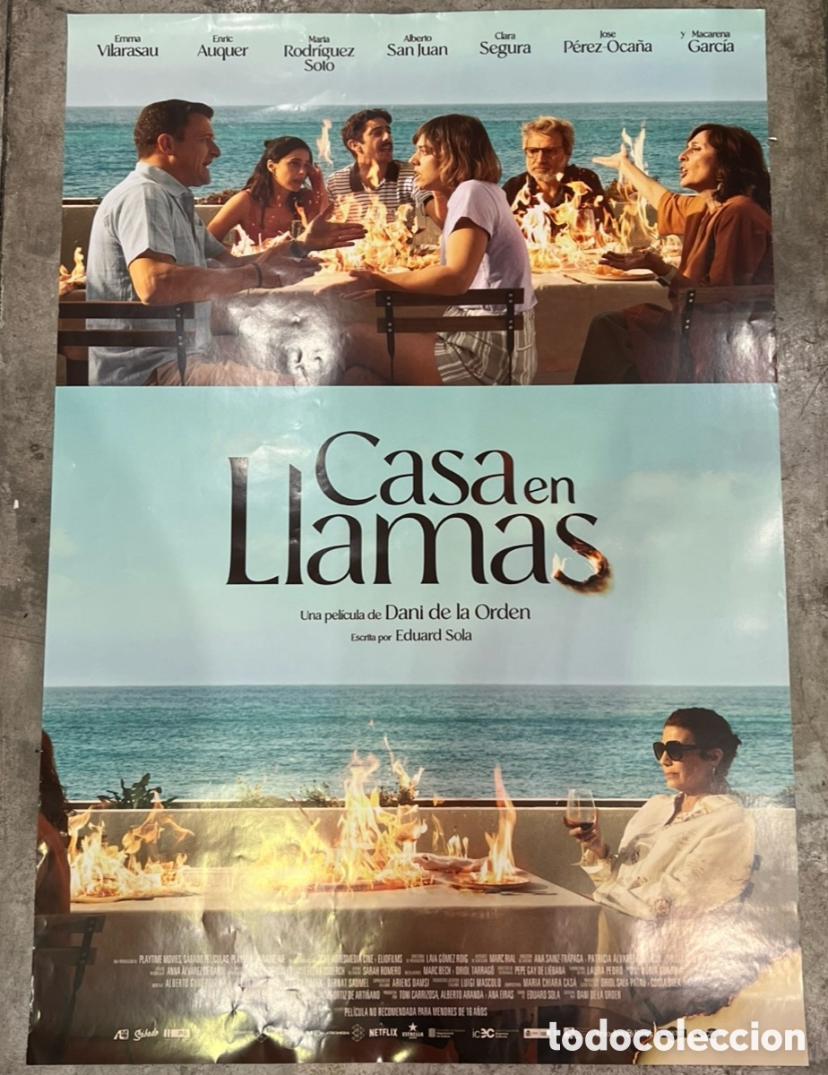 Cine: Cartel de Pel&iacute;cula. &ldquo;Cada en llamas&rdquo;. Dani de la Orden. 2024.