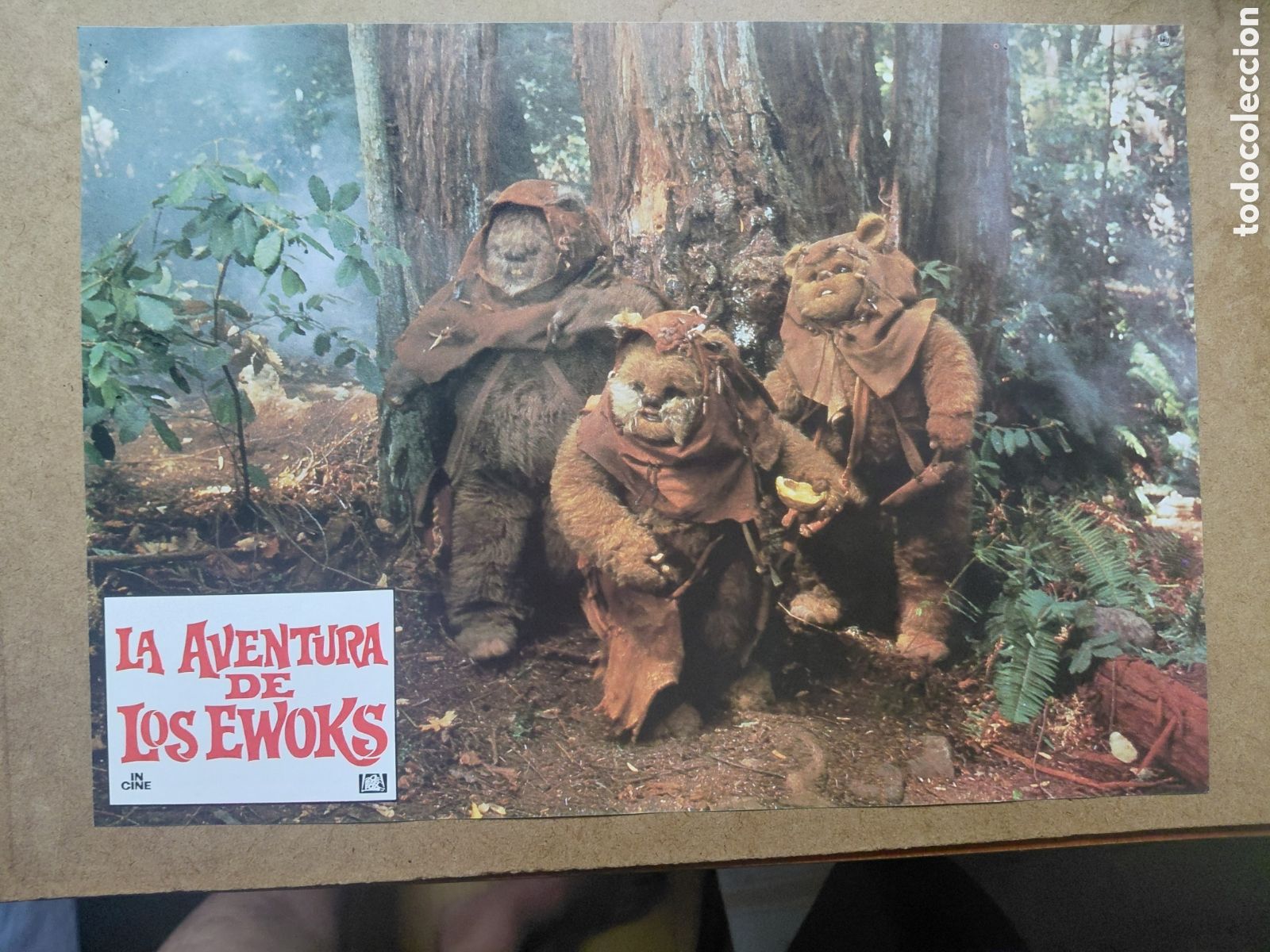 Cine: LA AVENTURA DE LOS EWOKS - Foto 7