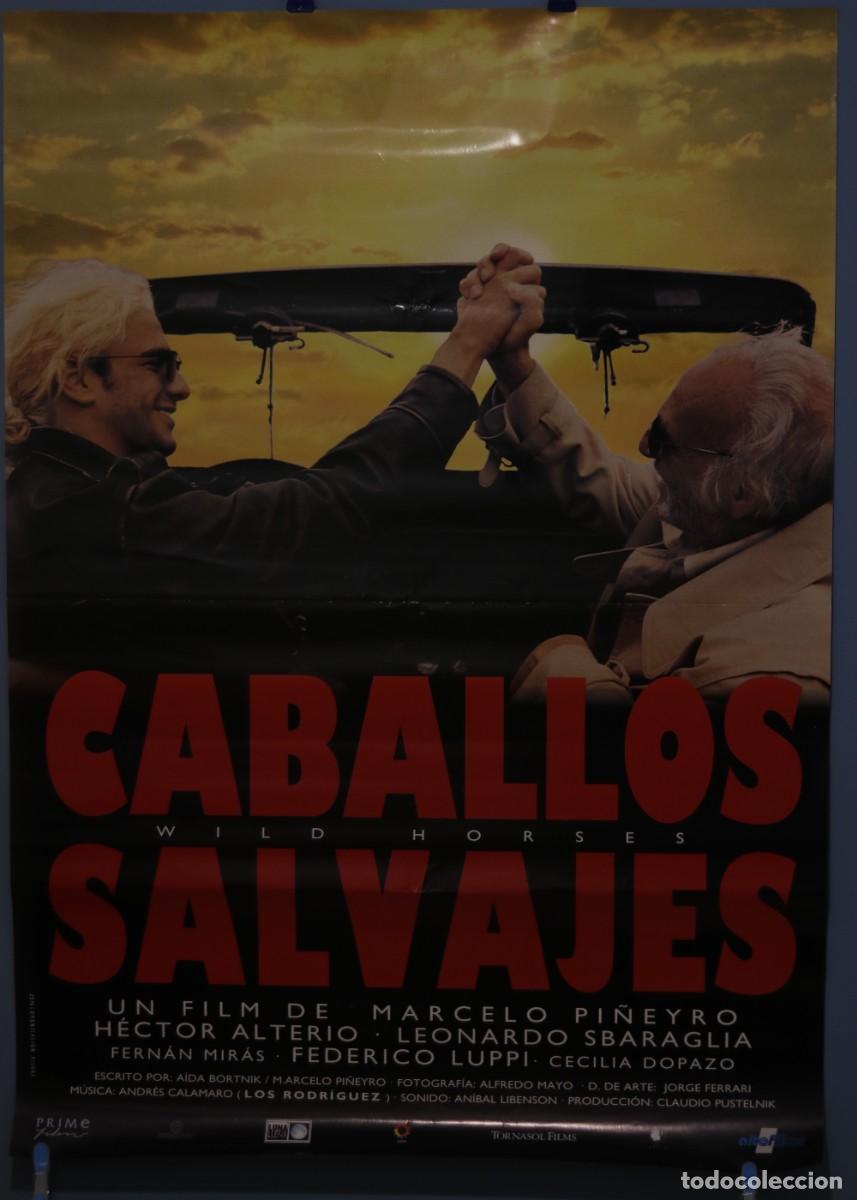 Cine: CABALLOS SALVAJES - H&Eacute;CTOR ALTERIO - LEONARDO SBARAGLIA - CARTEL CINE 70x100