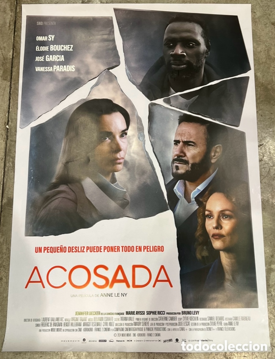 Cine: Cartel de Pel&iacute;cula. &ldquo;Acosada&rdquo;. Anne Le Ny. 2024.