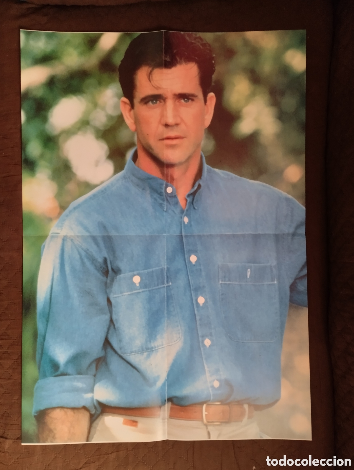 Cine: Poster del actor y director, Mel Gibson.