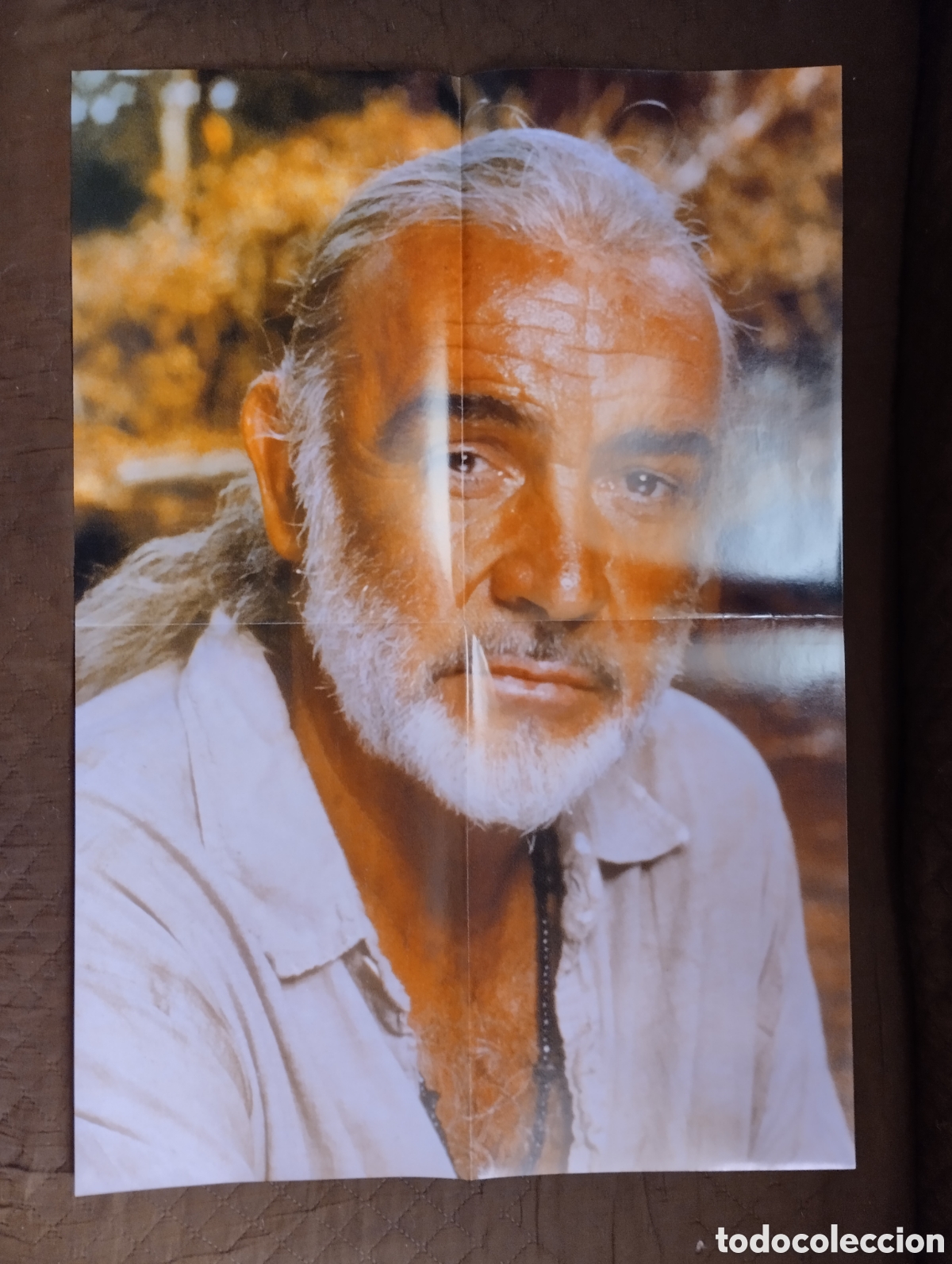 Cine: Poster del actor Sean Connery.