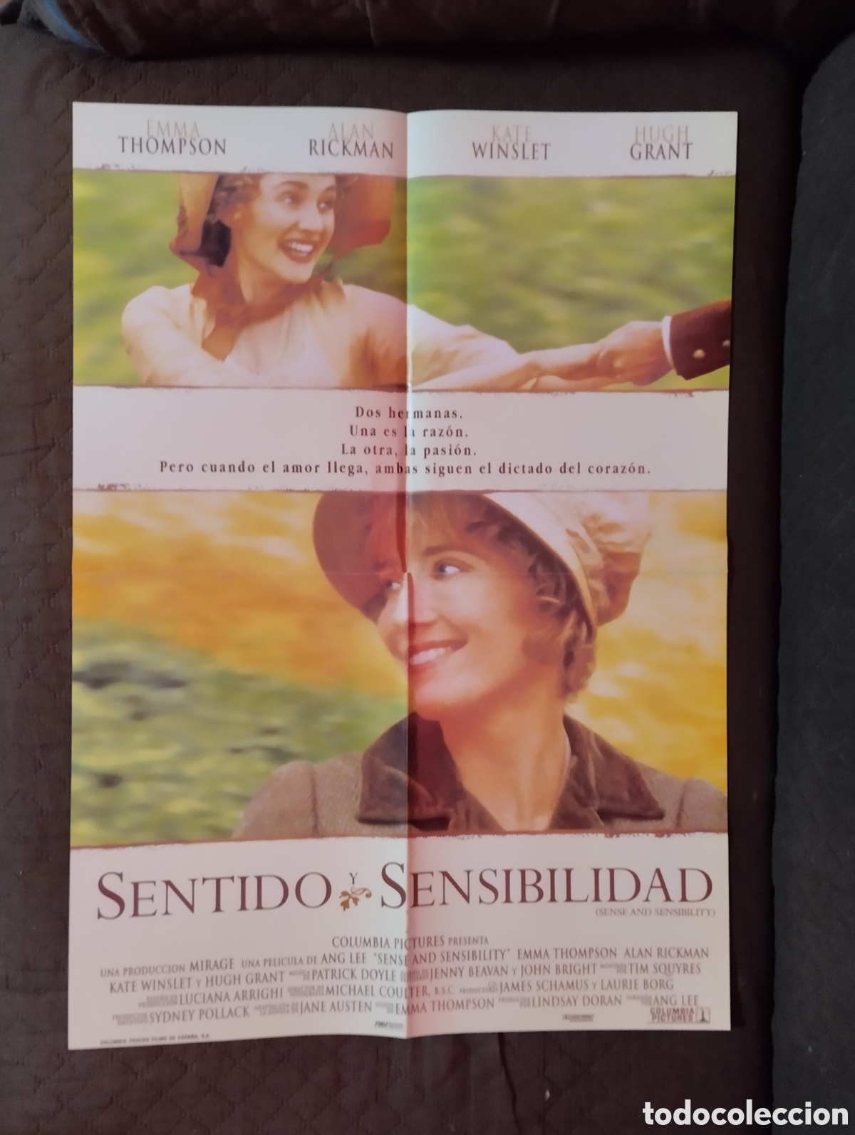 Cine: Poster de la pelicula Sentido y sensibilidad.