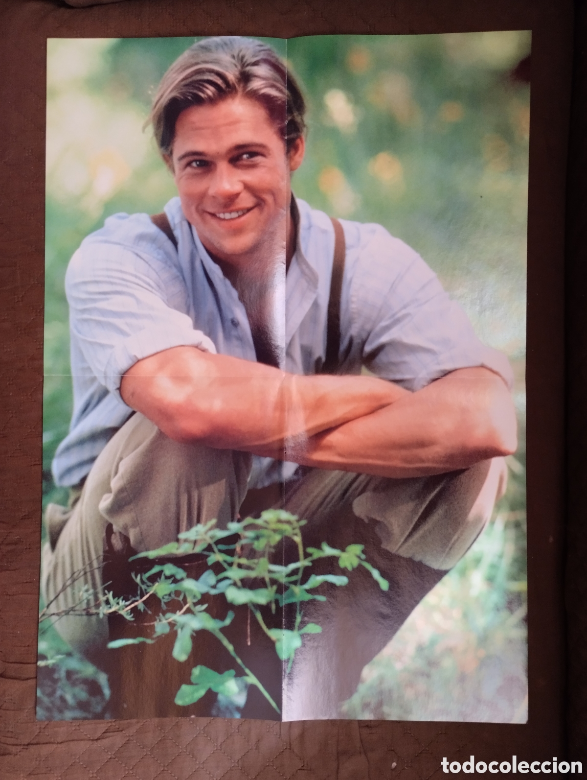 Cine: Poster del actor Brad Pitt.