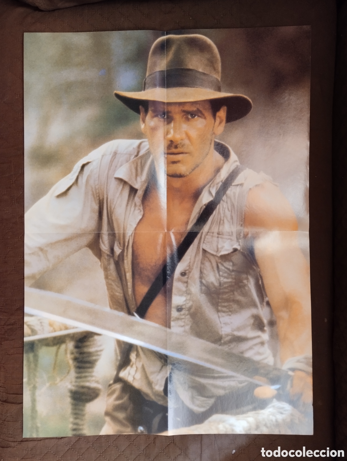 Cine: Poster segundo del actor Harrison Ford.