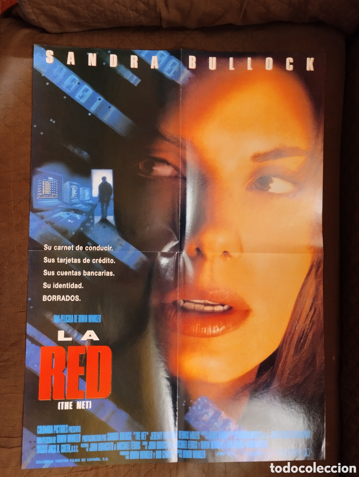 Cine: Poster de la pelicula La red (the net).