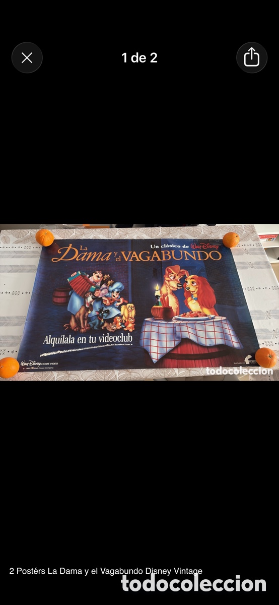 Cine: 2 poster de la dama i vagabundo