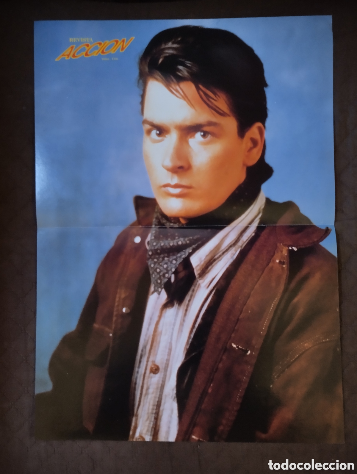 Cine: Poster del actor Charlie Sheen.