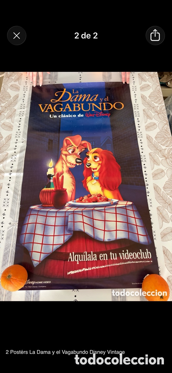 Cine: Dama vagabundo 2 posters