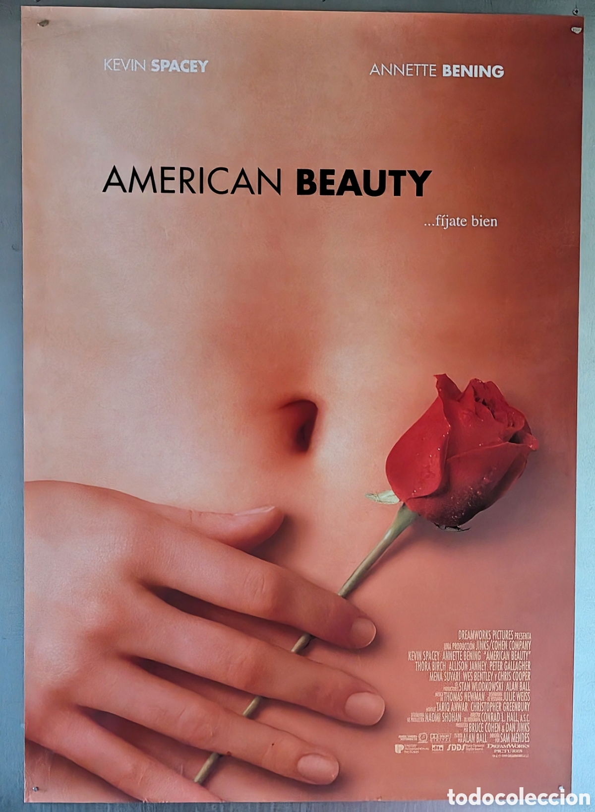 Cine: AMERICAN BEAUTY - 1999 - 70 X 100 - (26)