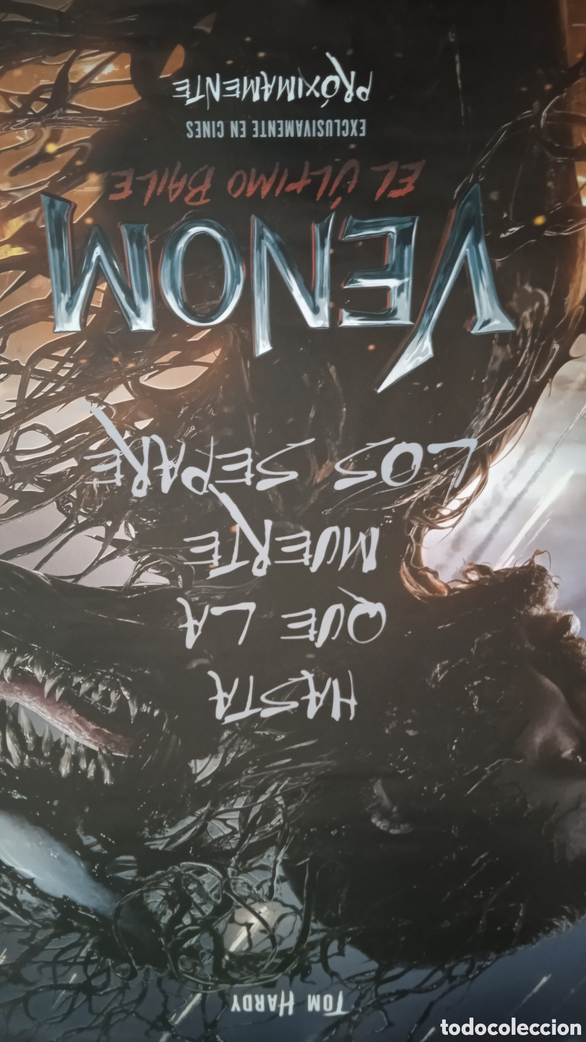 Cine: VENOM: EL &Uacute;LTIMO BAILE &ndash; P&oacute;ster Original de Cine 70x100 cm &ndash; Tom Hardy &ndash; Marvel &ndash; NUEVO SIN DOBLAR