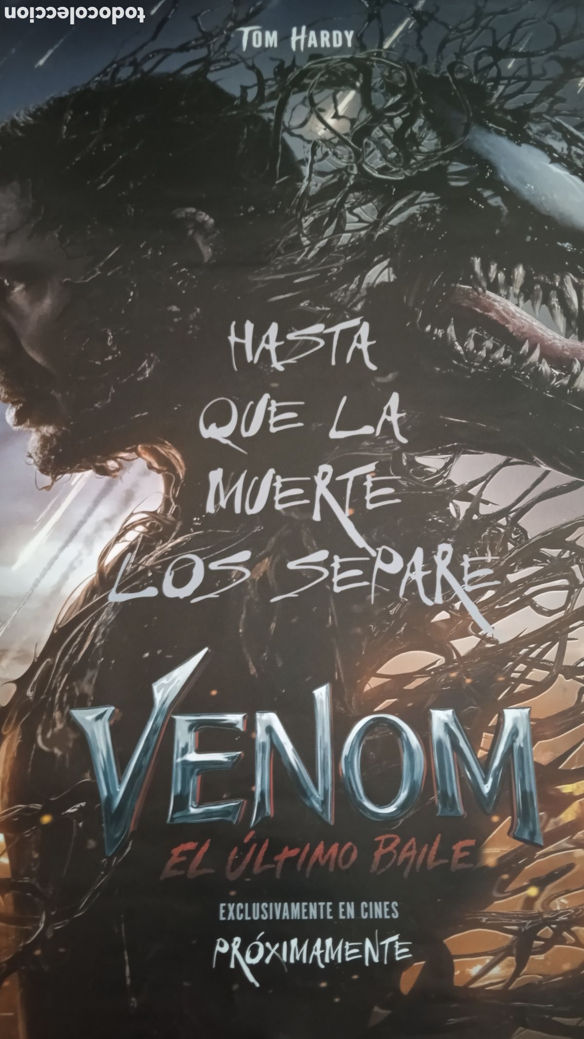 Cine: VENOM: EL &Uacute;LTIMO BAILE &ndash; P&oacute;ster Original de Cine 70x100 cm &ndash; Tom Hardy &ndash; Marvel &ndash; NUEVO SIN DOBLAR