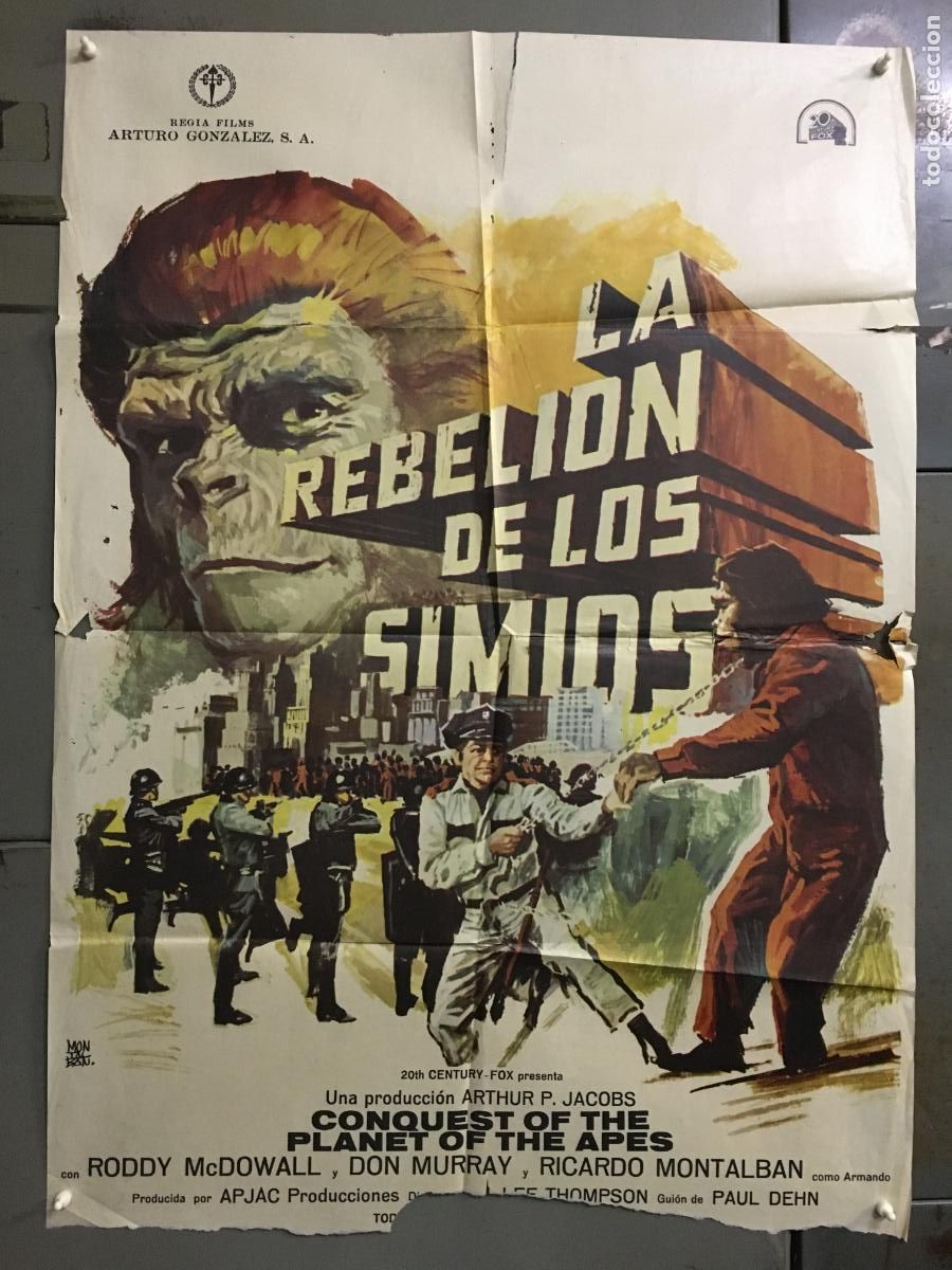 Cine: ODC C820 LA REBELION DE LOS SIMIOS Conquest planet of the apes MONTALBAN POSTER ORIG ESTRENO 70X100