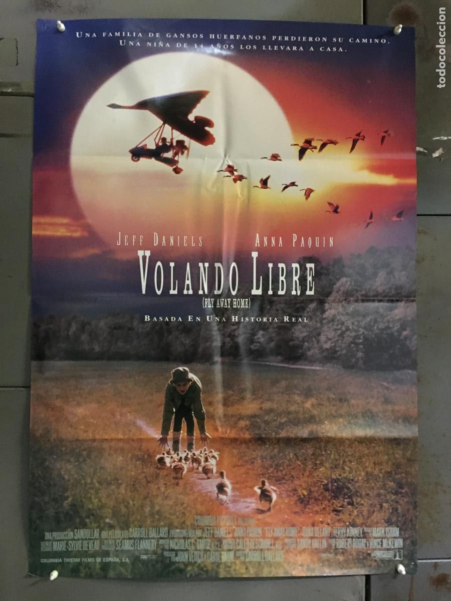 Cine: ODC C852 VOLANDO LIBRE ANNA PAQUIN JEFF DANIELS POSTER ORIGINAL 70X100 ESTRENO